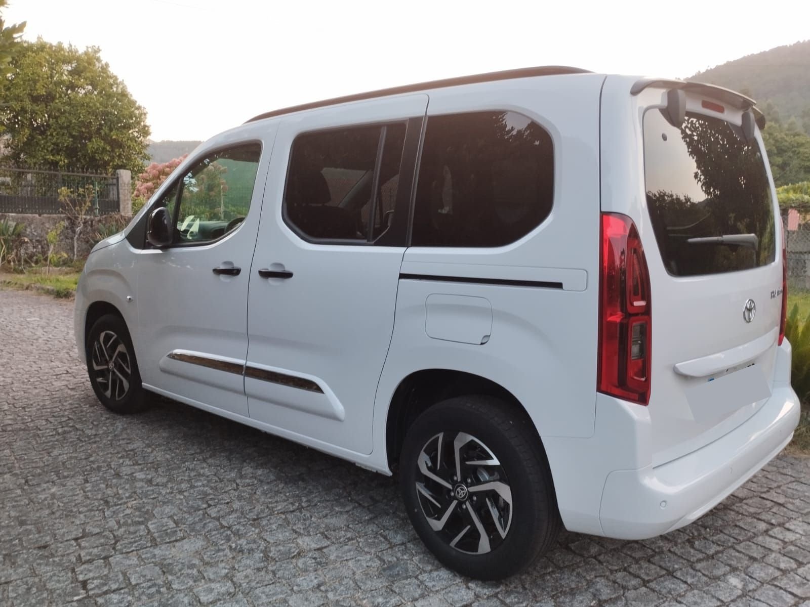 Veterinario a domicilio en Vigo atendiendo a un gato en su casa